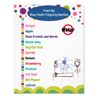 Blaues Sterben - Käfer-Schutzschild Fotodruck