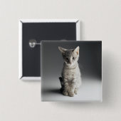 Blaues Tabby-Kätzchen Button (Vorne & Hinten)