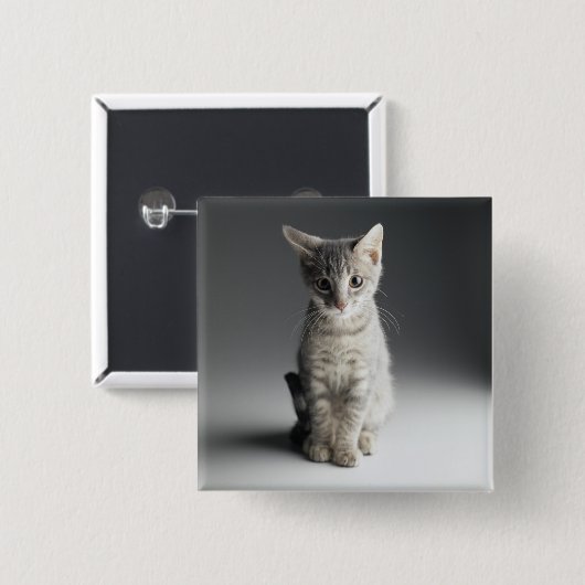 Blaues Tabby-Kätzchen Button (Vorne & Hinten)