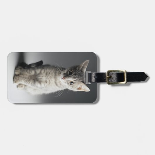 Blaues Tabby-Kätzchen Gepäckanhänger (Vorderseite horizontal)