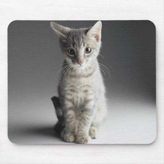 Blaues Tabby-Kätzchen Mousepad (Vorne)