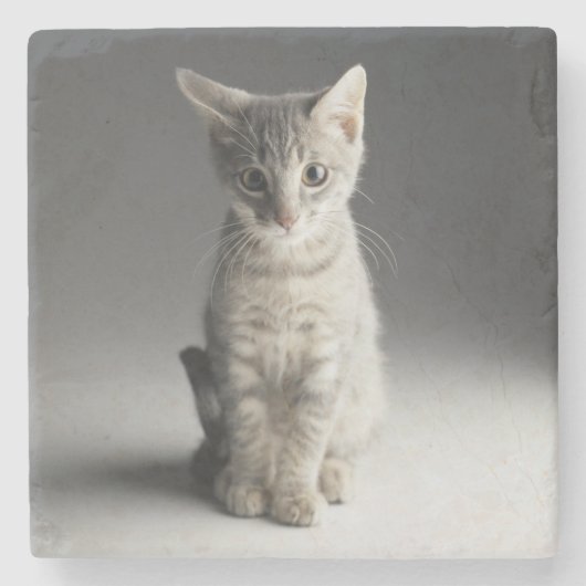 Blaues Tabby-Kätzchen Steinuntersetzer (Vorderseite)