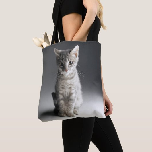Blaues Tabby-Kätzchen Tasche (Von Nahem)