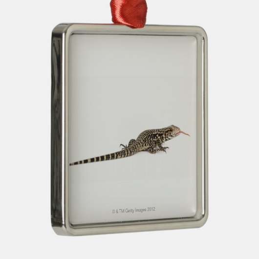 Blaues tegu - Tupinambis merianae Ornament Aus Metall (Rechts)