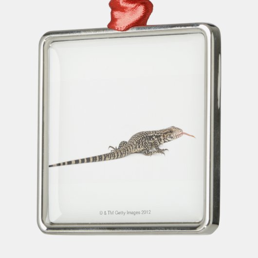 Blaues tegu - Tupinambis merianae Ornament Aus Metall (Links)