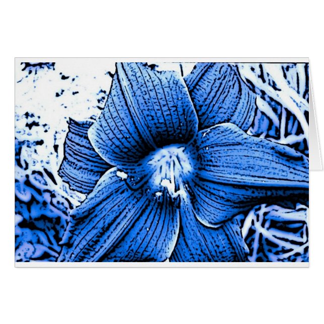 Blaues Tigerlilly (Vorderseite (Horizontal))