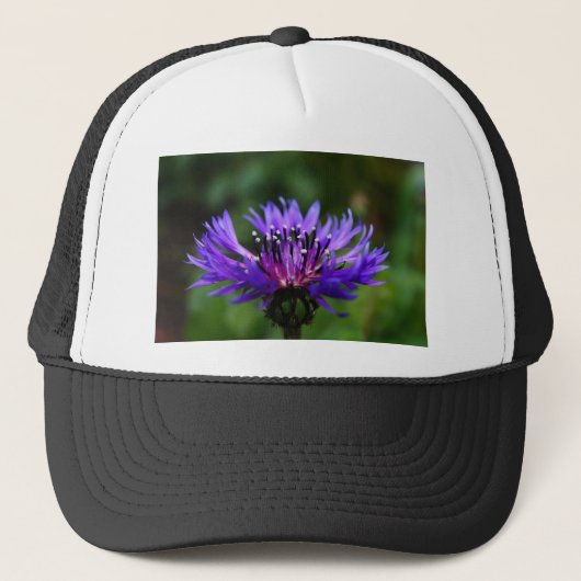 Blaues Truckerkappe (Vorderseite)