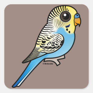 Blaues u. gelbes Budgie Quadratischer Aufkleber