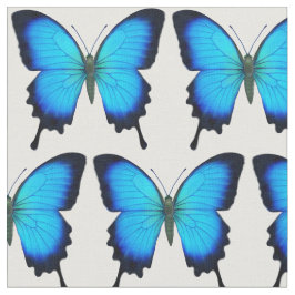 Blaues Ulysses-Frack-Schmetterlings-Gewebe Stoff