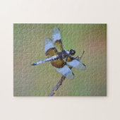 Blaues und braunes Dragonfly-Insektenschutzpuzzle Puzzle (Horizontal)