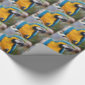 Blaues und gelbes Macaw-Packpapier Geschenkpapier (Ecke)