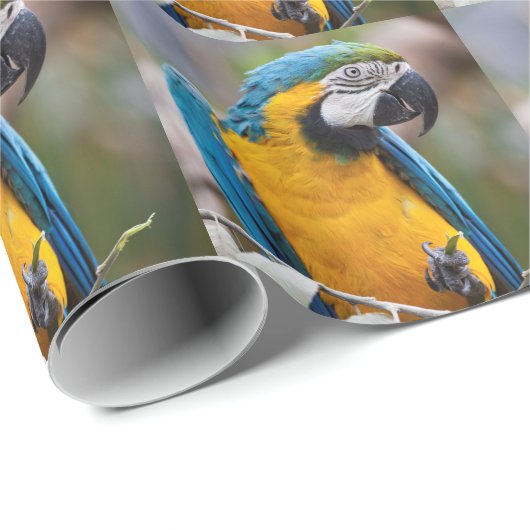 Blaues und gelbes Macaw-Packpapier Geschenkpapier (Rolleneckpunkt)