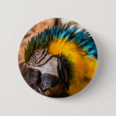 Blaues und gelbes Makaportrait Button (Vorderseite)