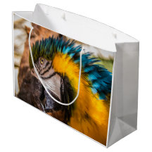 Blaues und gelbes Makaportrait