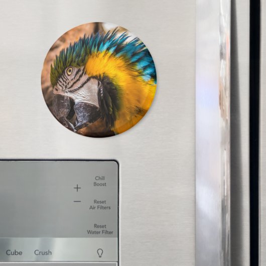 Blaues und gelbes Makaportrait Magnet (In Situ (Kühlschrank))