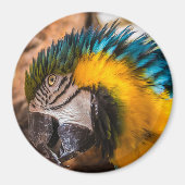 Blaues und gelbes Makaportrait Magnet (Vorne)