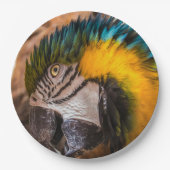 Blaues und gelbes Makaportrait Pappteller (Vorderseite)