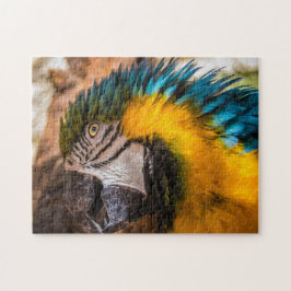 Blaues und gelbes Makaportrait Puzzle