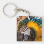 Blaues und gelbes Makaportrait Schlüsselanhänger (Vorderseite)