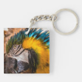 Blaues und gelbes Makaportrait Schlüsselanhänger (Rückseite)