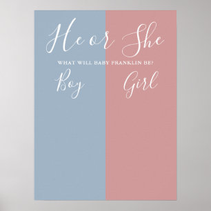 Blaues und rosa Geschlecht-Enthüllungs-Wahl-Schild Poster