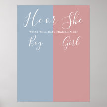 Blaues und rosa Geschlecht - Wahlzeichen