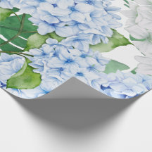 Blaues und weißes Hydrangea