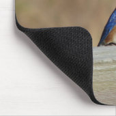 Blaues Vogel-Frühstück Mousepad (Ecke)