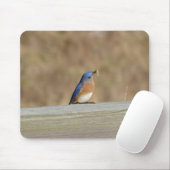 Blaues Vogel-Frühstück Mousepad (Mit Mouse)