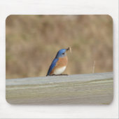 Blaues Vogel-Frühstück Mousepad (Vorne)