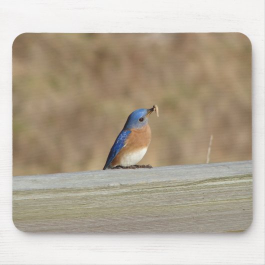 Blaues Vogel-Frühstück Mousepad (Vorne)
