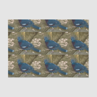 Blaues Vogelgefechtpapier Seidenpapier