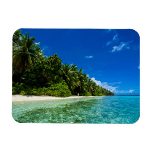 Blaues Wasser eines tropischen Strandes Magnet
