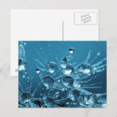 Blaues Wasser-Tropfen Postkarte (Vorne/Hinten)