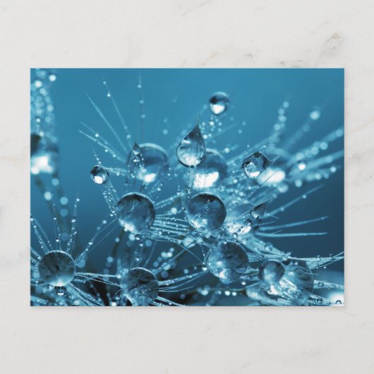 Blaues Wasser-Tropfen Postkarte (Vorderseite)