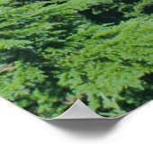 Blaues Wasser und Alpen Foto am Lago Maggiore Poster (Ecke)