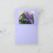 Blaueste blaue Veilchen Karte (Innenseite)