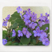 Blaueste blaue Veilchen Mousepad (Vorne)