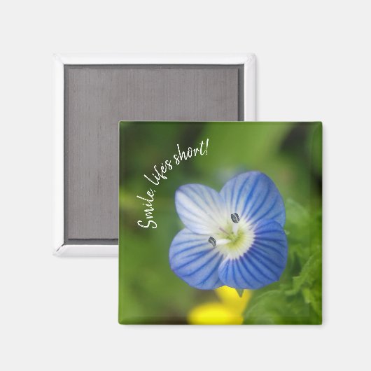 Blaufeder - Magnet (Vorderseite/Rückseite)