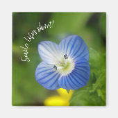 Blaufeder - Magnet (Vorne)