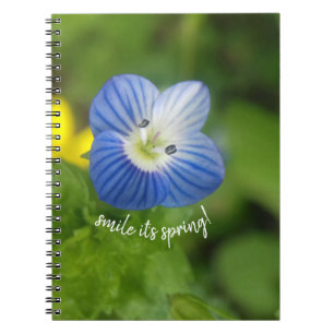 Blaufeder - Notebook Notizblock