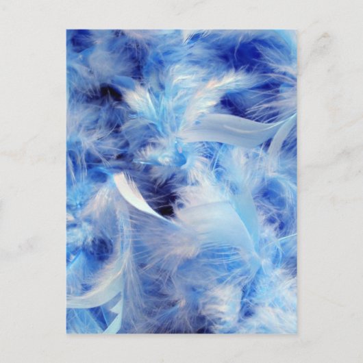 Blaufedern Postkarte (Vorderseite)