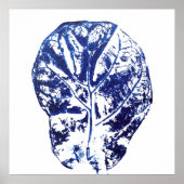 Blaufiddle Poster (Vorne)