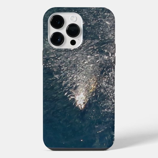 Blauflossen-Fütterung iPhone Hülle (Rückseite)