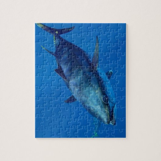 Blauflossenthunfisch-Puzzle Puzzle (Vertikal)