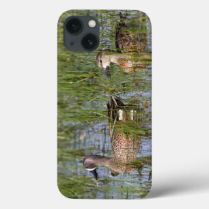 Blauflügelente Männchen und Weibchen im Feuchtgebi Case-Mate iPhone Hülle