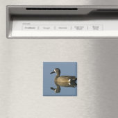 Blauflügelige Aquamarin, Anas-Discors, männlich, P Magnet (In Situ (Geschirrspüler))