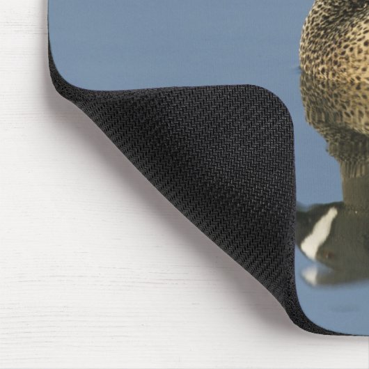 Blauflügelige Aquamarin, Anas-Discors, männlich, P Mousepad (Ecke)