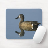 Blauflügelige Aquamarin, Anas-Discors, männlich, P Mousepad (Mit Mouse)