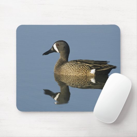 Blauflügelige Aquamarin, Anas-Discors, männlich, P Mousepad (Mit Mouse)